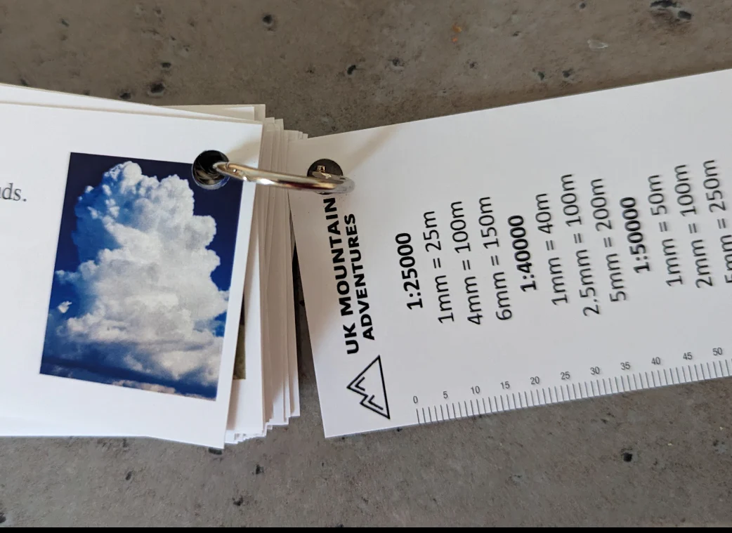 Faura and Fauna information cards - Image 10