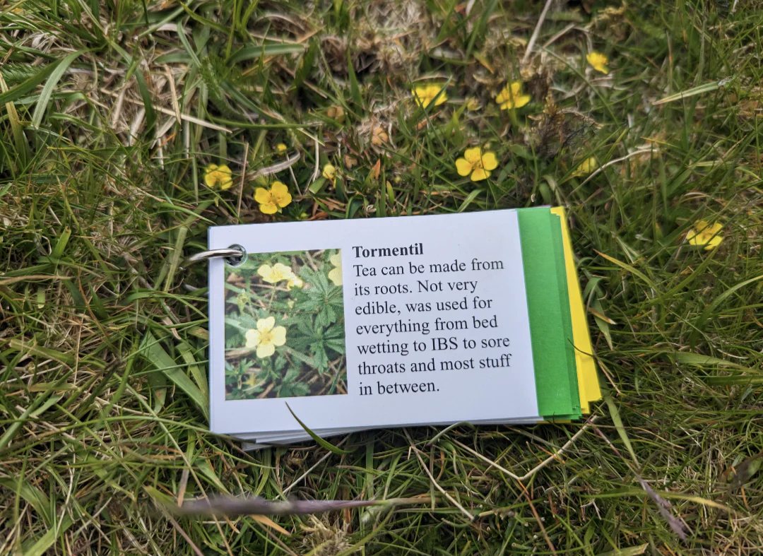 Faura and Fauna information cards - Image 4