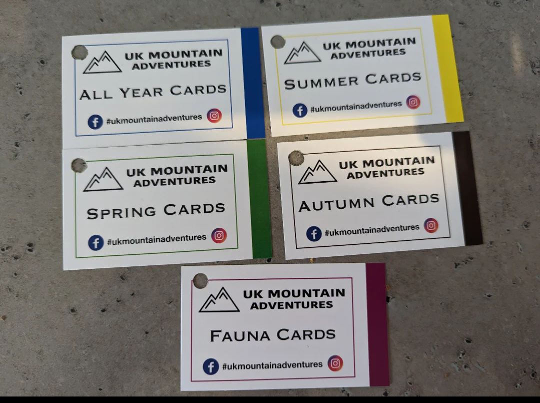 Faura and Fauna information cards - Image 9