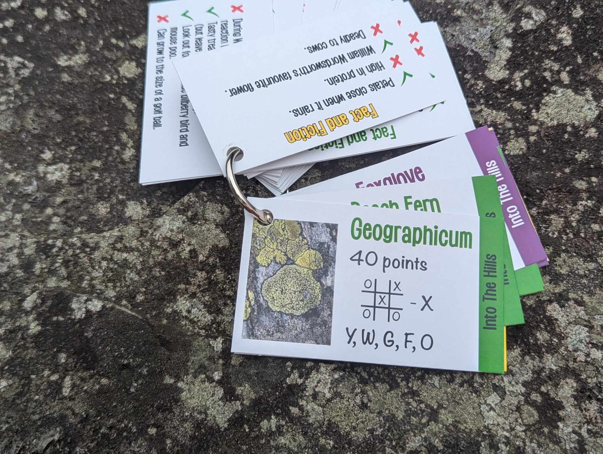 Lets Go On An Adventure... Into the Hills! - Image 4