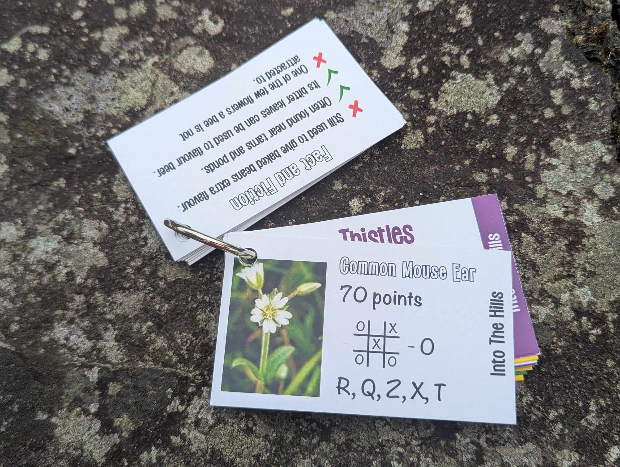 Lets Go On An Adventure... Into the Hills! - Image 5