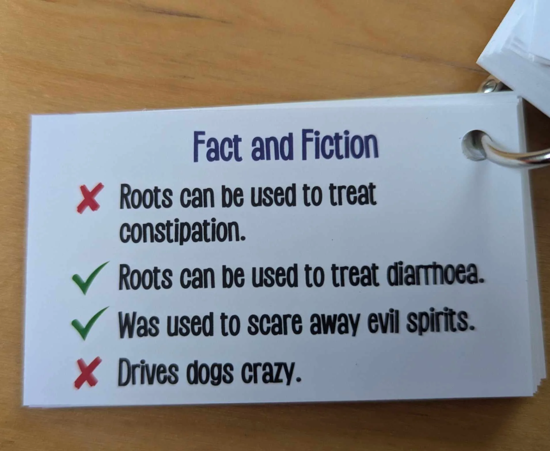 Letys Go On An Adventure... Into the Woods! - Image 4