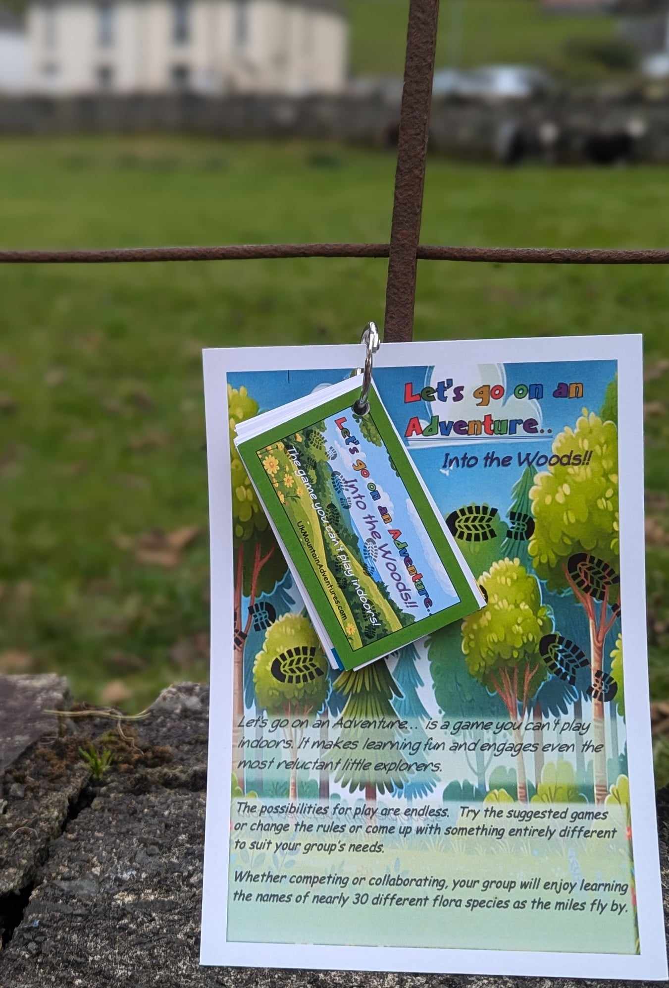 Letys Go On An Adventure... Into the Woods! - Image 6