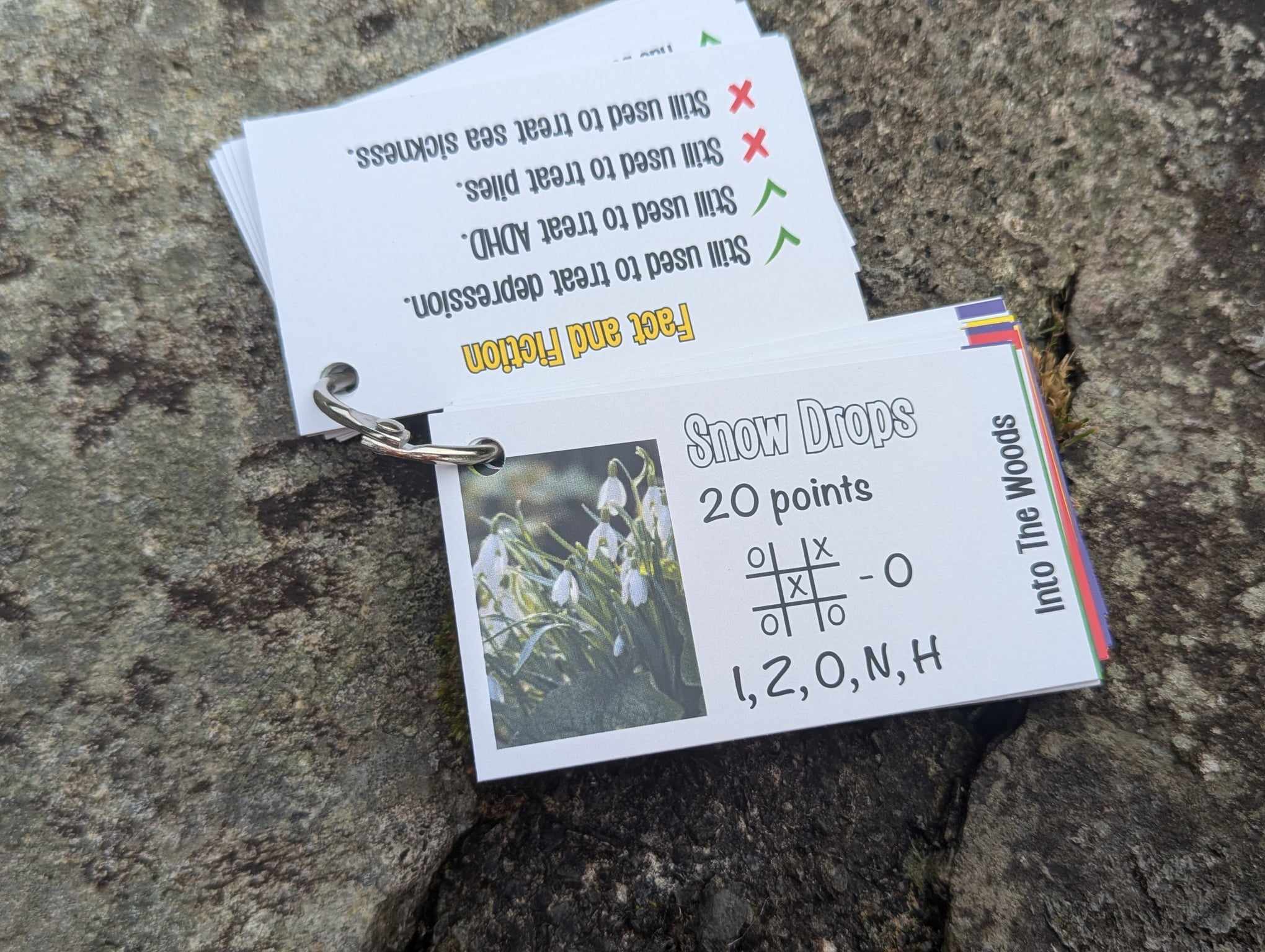 Letys Go On An Adventure... Into the Woods! - Image 7