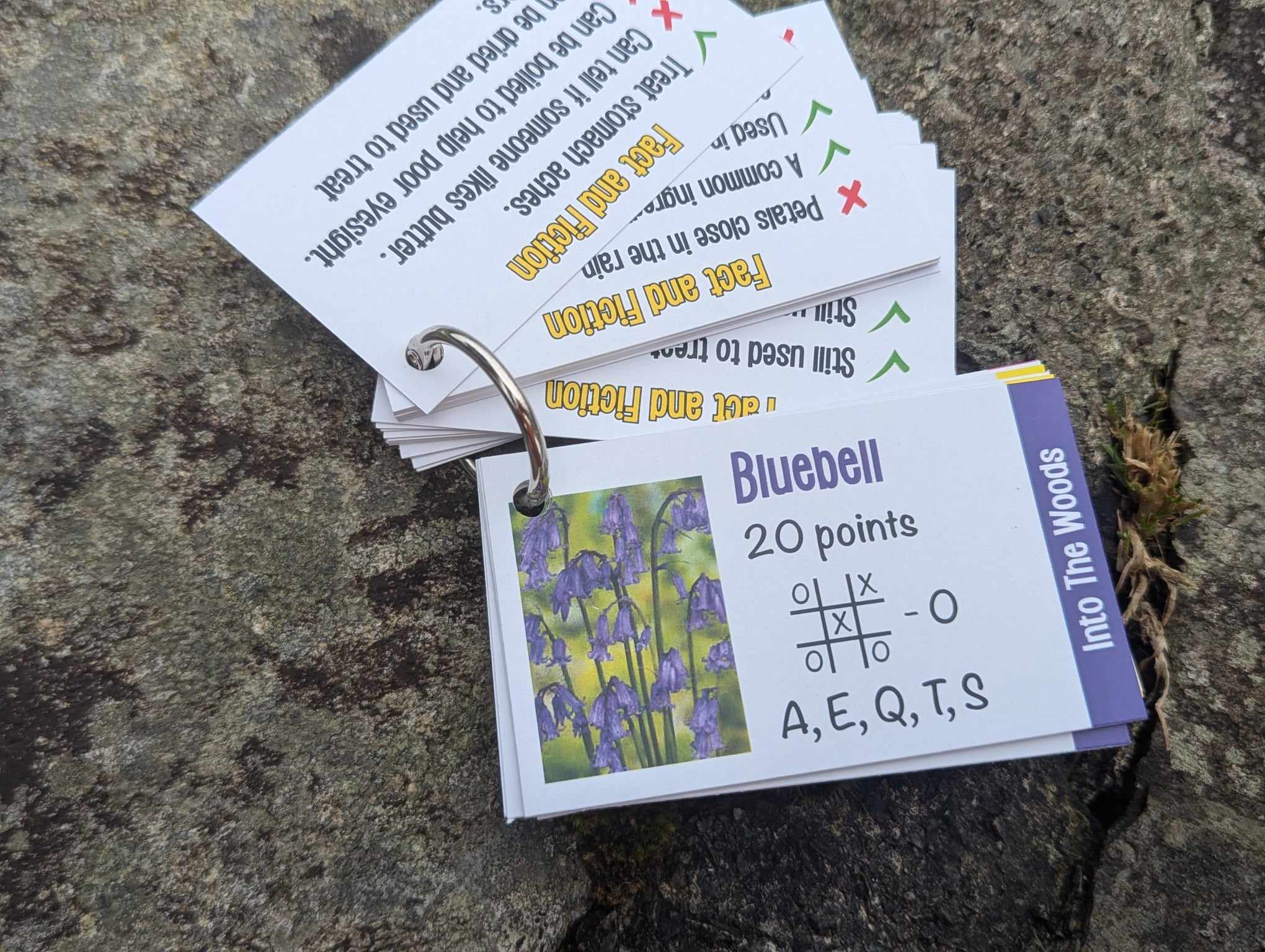 Letys Go On An Adventure... Into the Woods! - Image 9